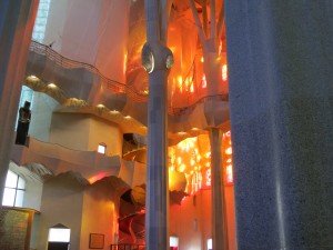 IMG_4422